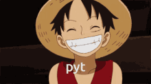 Pyt Luffy GIF - Pyt Luffy One Piece GIFs