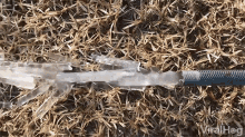 Icicles Hose GIF - Icicles Hose Frozen Water GIFs