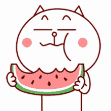 cat melon adorable cute eat