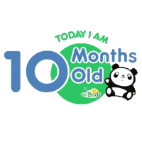 Tiny Buds Today I Am 10 Months Old Sticker