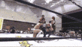 a wrestling match is being broadcasted in a foreign language .