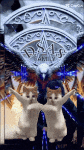 two cats are dancing in front of a sign that says dsas family