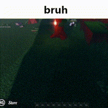 a screenshot of a video game with the word bruh on the top