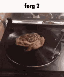 Frog Forg GIF - Frog Forg Two GIFs