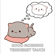 a cartoon cat is laying on a pink pillow and thinking about a white cat .