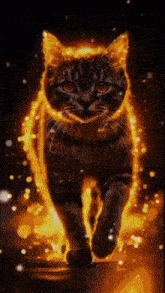 a cat with fire coming out of it 's body