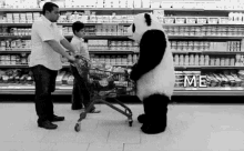 Panda Groceries GIF