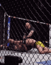 a fighter is laying on the ground in a cage with the word bud light on the side