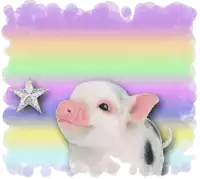 a pig with a rainbow background and a star