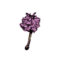 cute flower maroon5 purple flower pretty flower