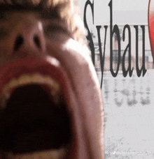 a close up of a person 's face with the word sybau written on it