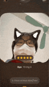 a person wearing a cat ear mask and glasses has a five star rating