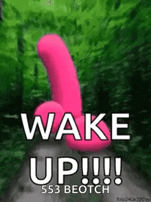 a picture of a pink penis with the words wake up written on it