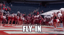 Fly In - Temple Football GIF - Temple Temple University Temple Football GIFs