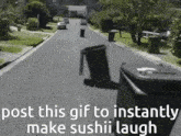 Sushii GIF