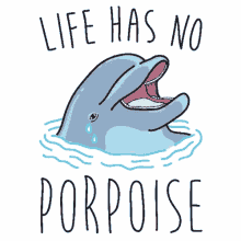 life has no porpoise dolphin