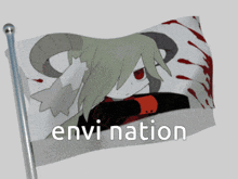 a flag with a picture of a girl and the word envi nation on it