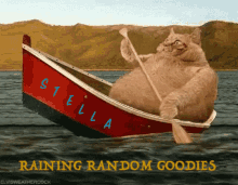 Stella Randoms GIF - Stella Randoms Cat GIFs