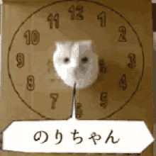 のり　のりちゃん GIF - Cat Time Peek A Boo GIFs