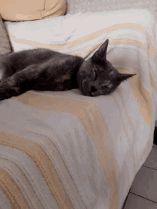 Emma Black Cat GIF