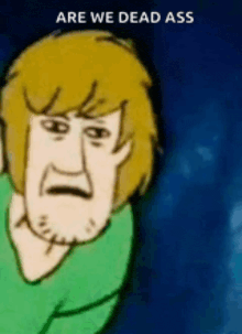 a cartoon character with a beard and a green shirt is making a funny face .
