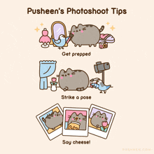 Pusheen Photoshoot Pusheen'S Best Friend GIF - Pusheen Photoshoot Pusheen Pusheen'S Best Friend GIFs