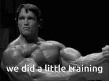 Arnold We Do A Little Training GIF - Arnold We Do A Little Training GIFs