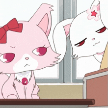 a pink cat with a red bow sits next to a white cat with a red star on her head