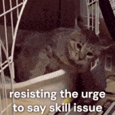 a cat sitting in a cage with the words resisting the urge to say skill issue below it