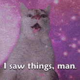 a cat says " i saw things man " on a purple background
