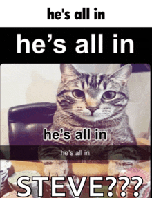 a picture of a cat with the caption he 's all in