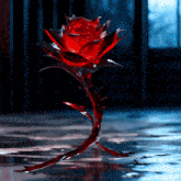 a red rose is sitting on a dark floor