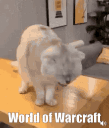 Catcraft GIF - Catcraft GIFs