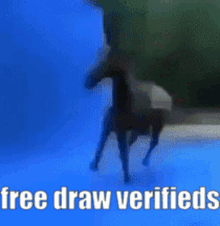 Cavalo Free Draw Verifieds Free Draw2how GIF