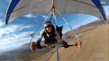 See Service Dog Hang Glide GIF - Paragliding Dog Cute GIFs