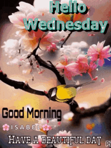 Have A Beautiful Day Wednesday Morning GIF