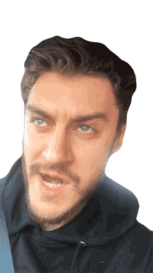 chewing casey frey look around side look eating chewing casey frey look around side look eating