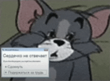 a drawing of a cat with a message in a foreign language