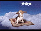 a dog is sitting on a carpet in the sky