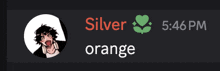 a screenshot of a person 's profile that says silver orange