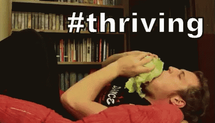 Hastag Thriving GIF - Eating Lettuce Thriving GIFs