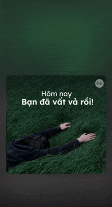 a picture of a person laying in the grass with the words hom nay ban da vat va roi