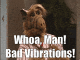 Alf Bad Vibrations GIF - Alf Bad Vibrations Whoa Man Bad Vibrations GIFs