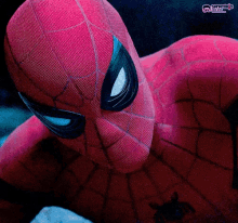 Spiderman Shock GIF