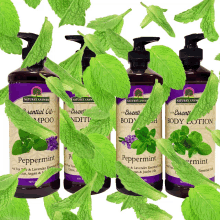 personal care natures answer peppermint essential oil body wash