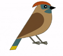 flying bird