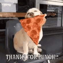 Thanks For Lunch!! GIF - Thanks For Lunch Pizza Dog GIFs
