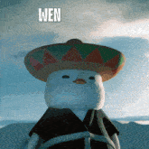 a stuffed chicken wearing a sombrero with the word wen above him