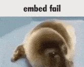 Embed Fail Dissapointed GIF