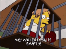 Water Dish GIF - Water Dish Empty GIFs